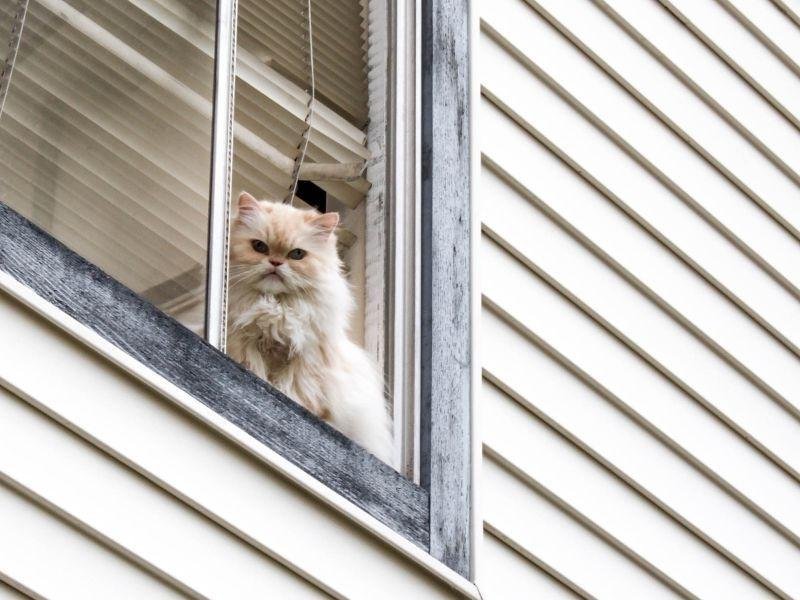 Rede de proteção de alta resistência em Maringá