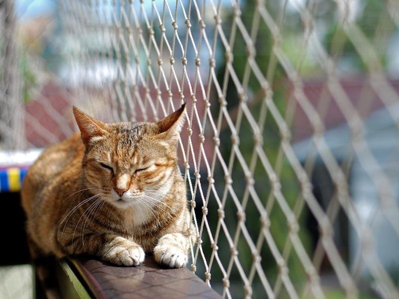 Instalação de rede de proteção em Maringá