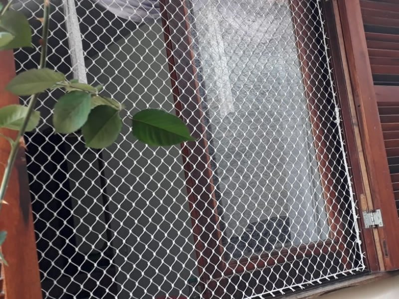 Garanta a segurança de animais com rede residencial em Itambé PR