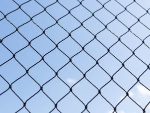 Telas de proteção para pets em Maringá