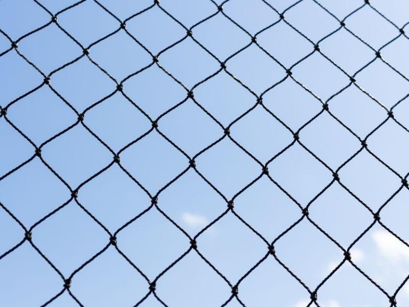 Telas de proteção para pets em Maringá