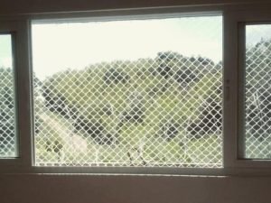 Telas de proteção anti-pombos em Maringá