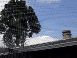 Telas de proteção para escolas em Maringá