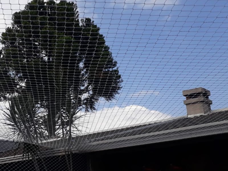 Telas de proteção para escolas em Maringá