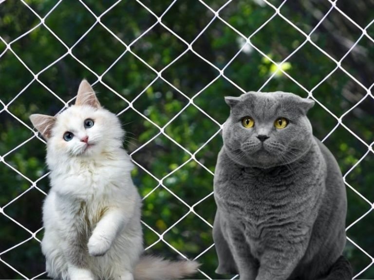 Instalação de Telas de segurança em Maringá