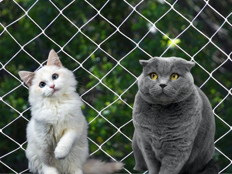 Instalação de Telas de segurança em Maringá