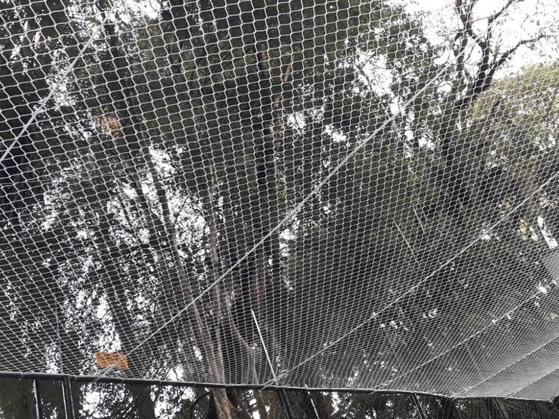 Tela de Proteção para Janelas em Maringá Tela de Proteção para Janelas em Maringá